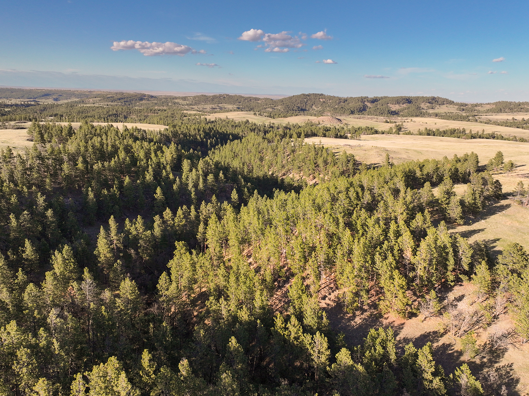 Mullenger Ranch property picture 13 of 34