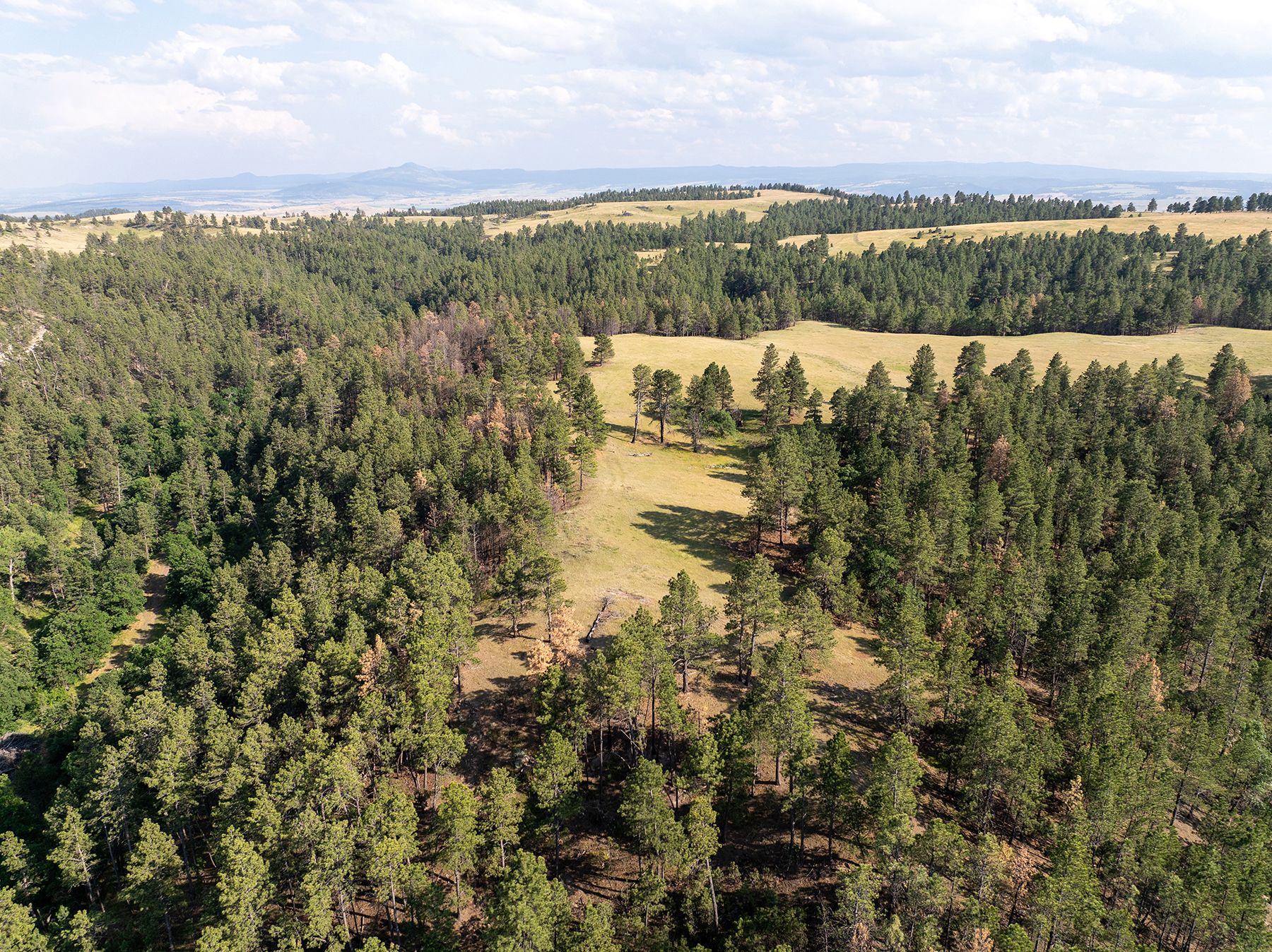 Mullenger Ranch property picture 23 of 52