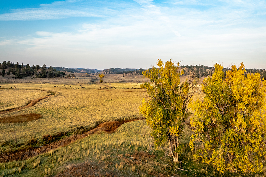 South Bighorn Ranch property picture 1 of 1