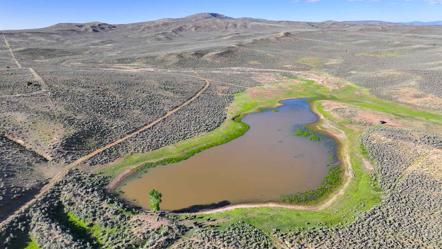 Buck Gulch Ranch property picture 12 of 33
