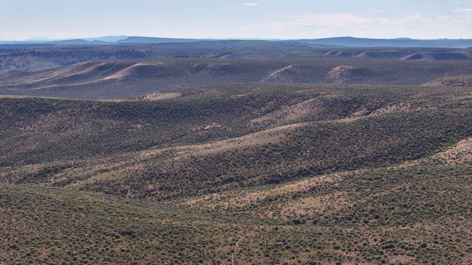 Buck Gulch Ranch property picture 16 of 33