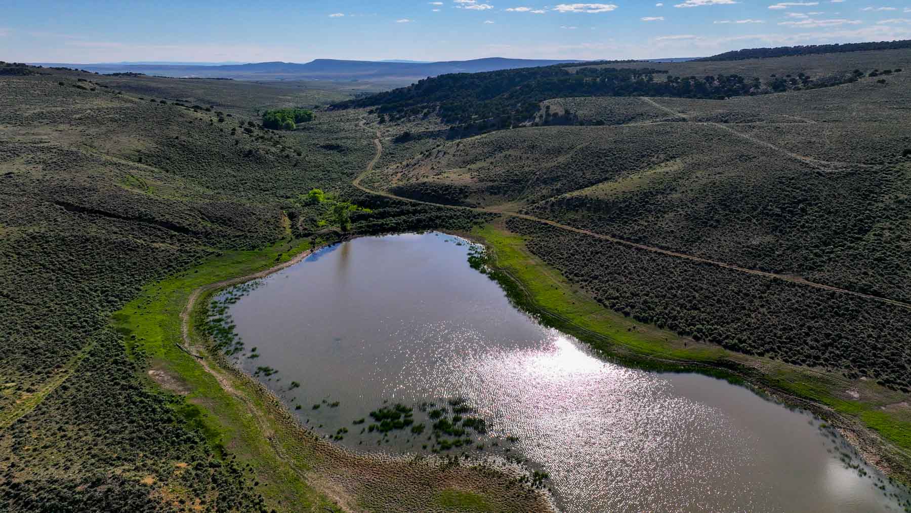Buck Gulch Ranch property picture 3 of 33