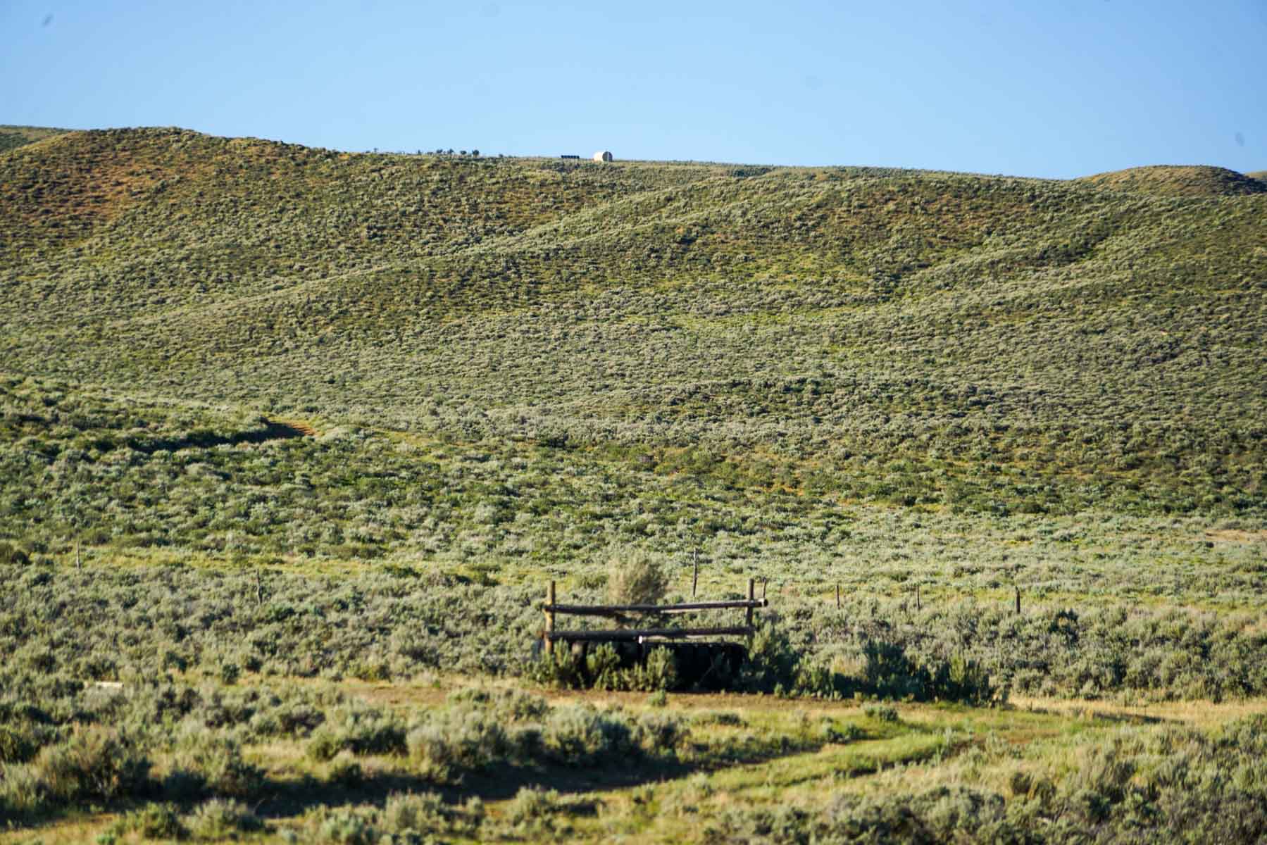 Buck Gulch Ranch property picture 11 of 33