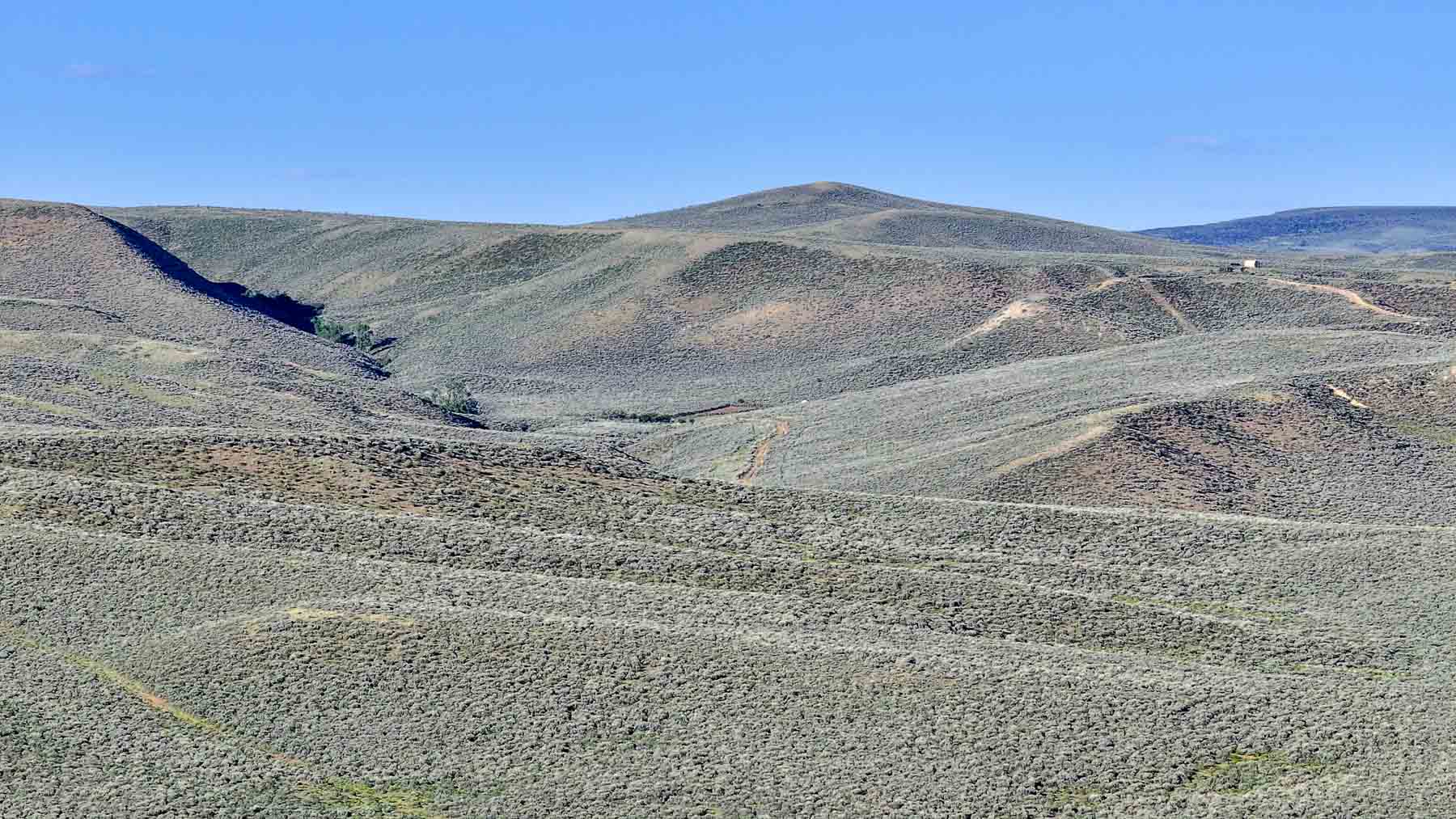 Buck Gulch Ranch property picture 18 of 33