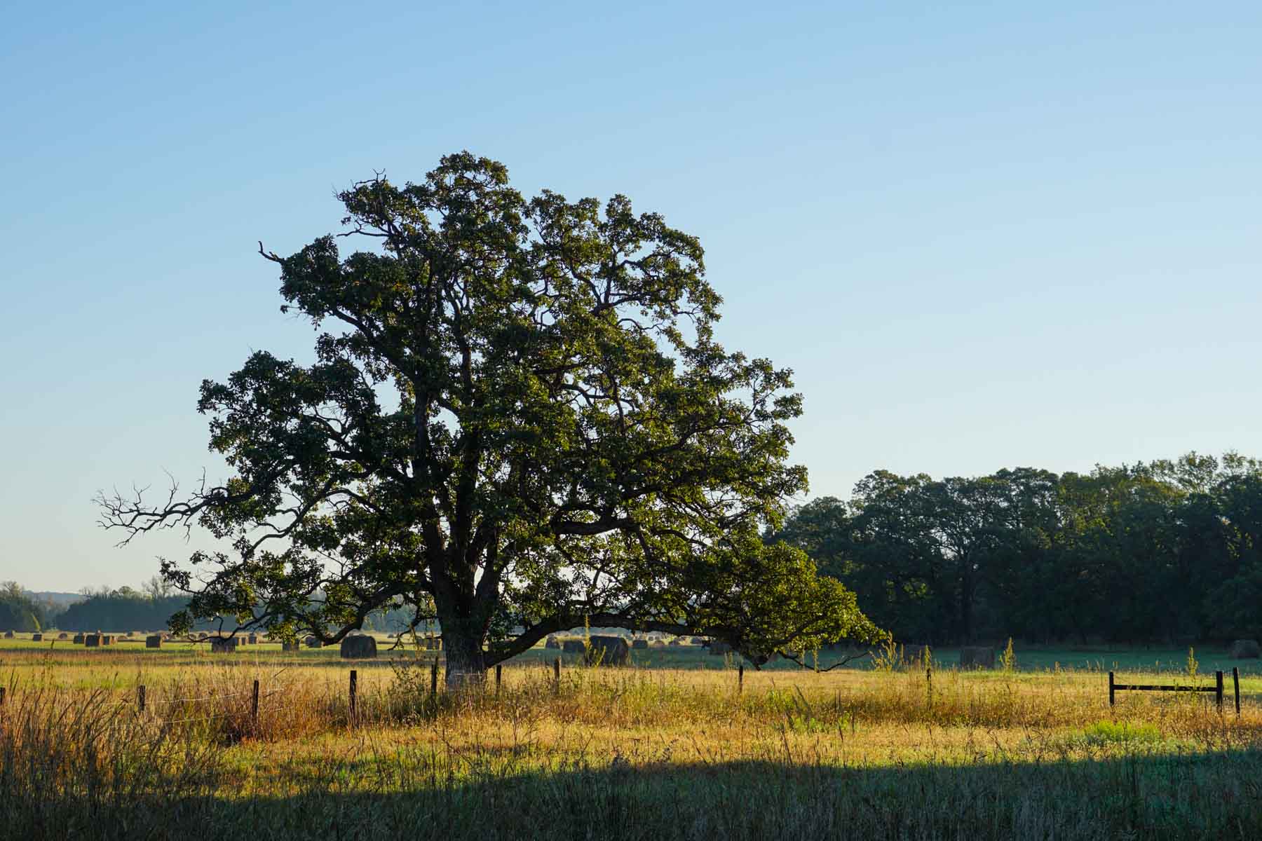 Niobrara River Cabin Ranch property picture 31 of 53