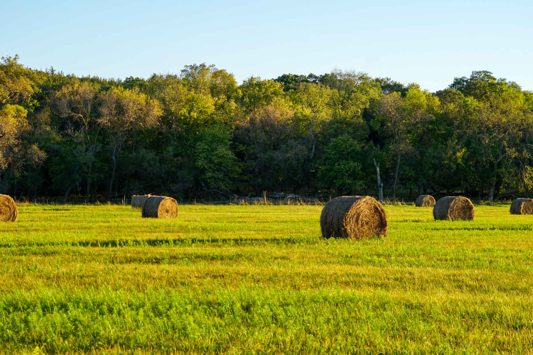 Niobrara River Cabin Ranch property picture 20 of 53