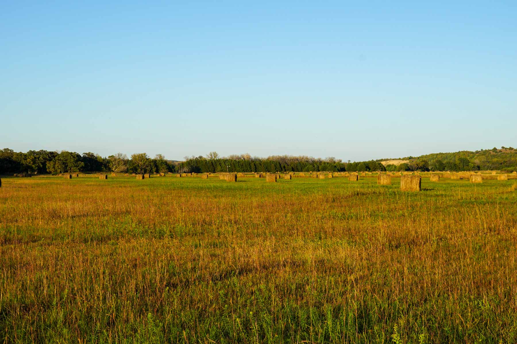 Niobrara River Cabin Ranch property picture 25 of 53