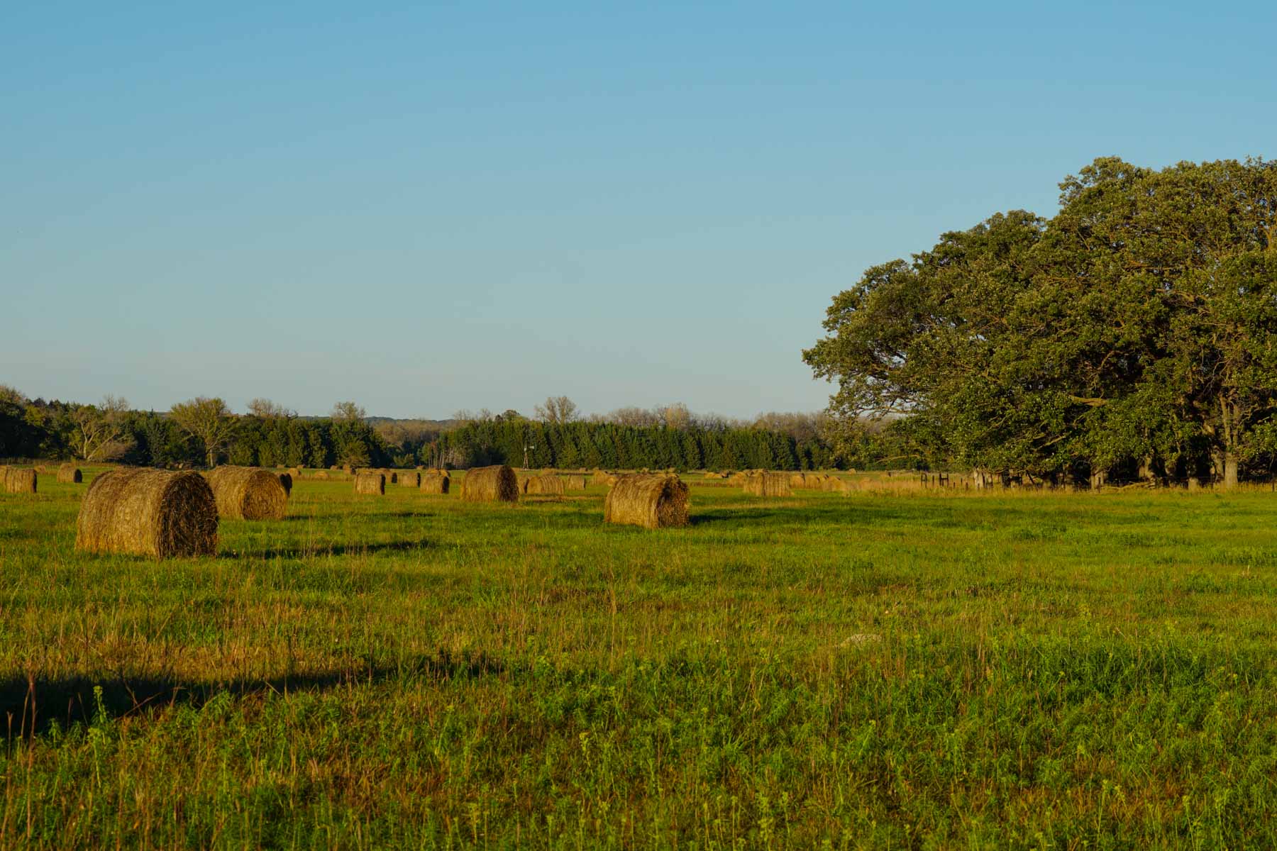 Niobrara River Cabin Ranch property picture 24 of 53