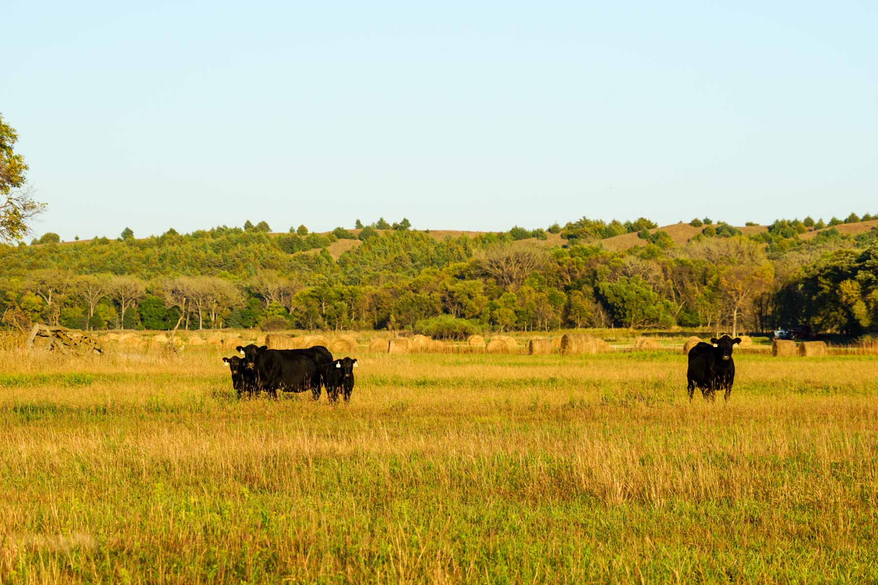 Niobrara River Cabin Ranch property picture 6 of 53