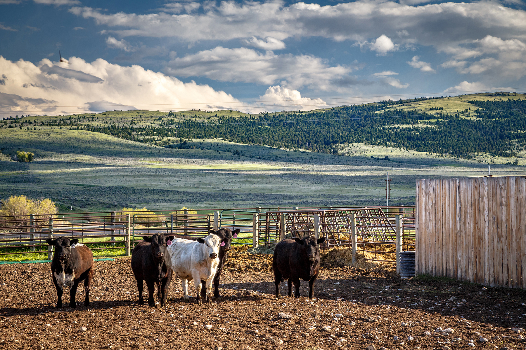 Muddy Creek Ranch property picture 39 of 60