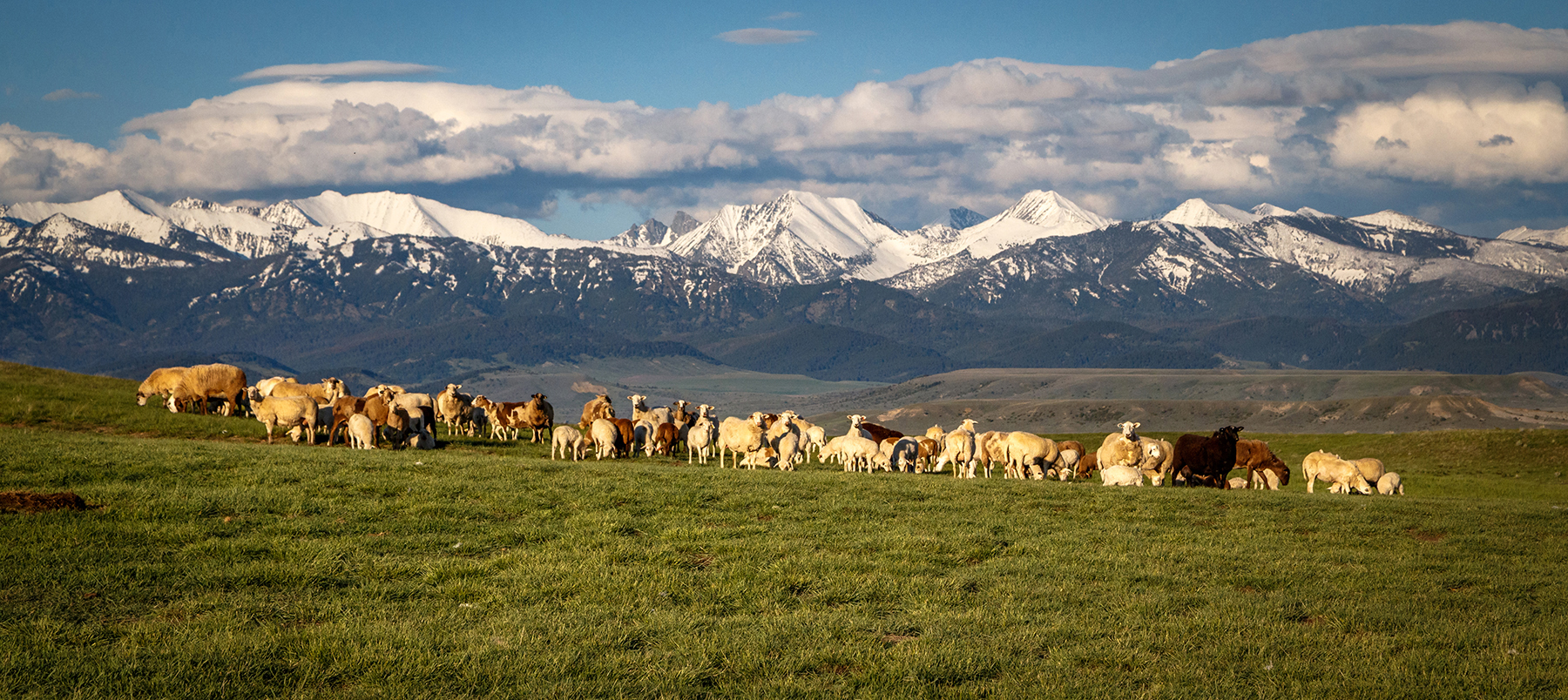 Muddy Creek Ranch property picture 11 of 60