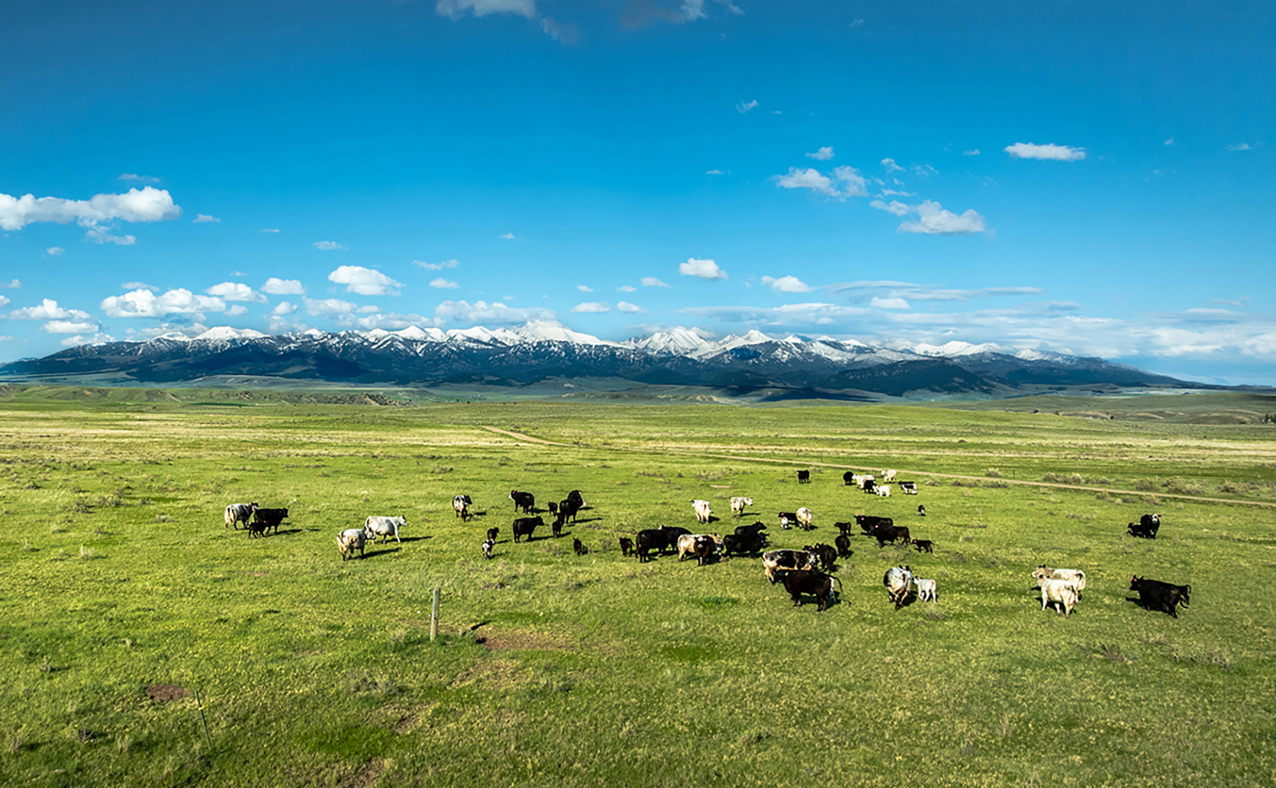 Muddy Creek Ranch property picture 4 of 60