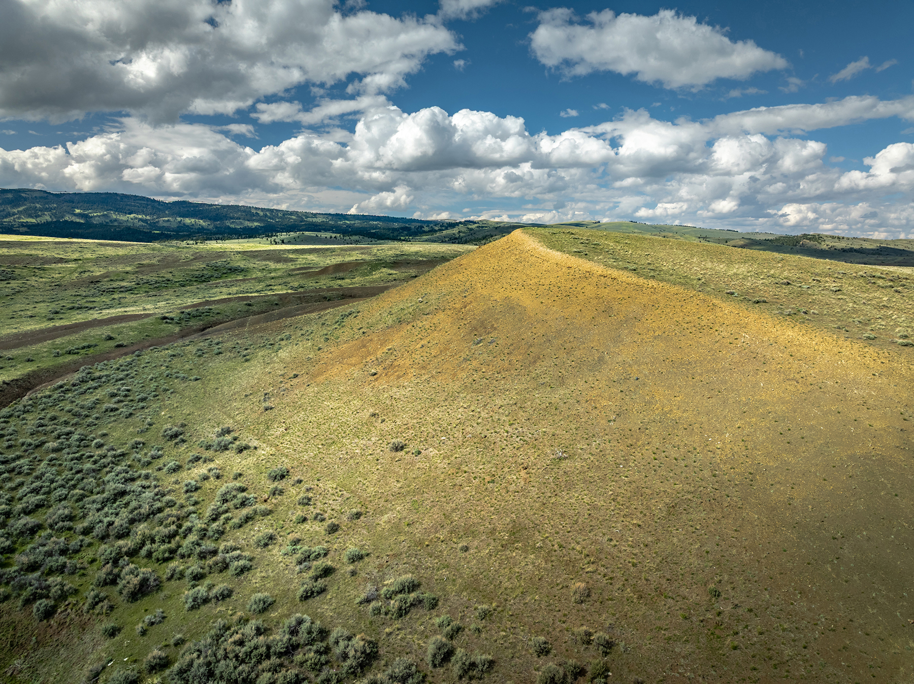Muddy Creek Ranch property picture 59 of 60