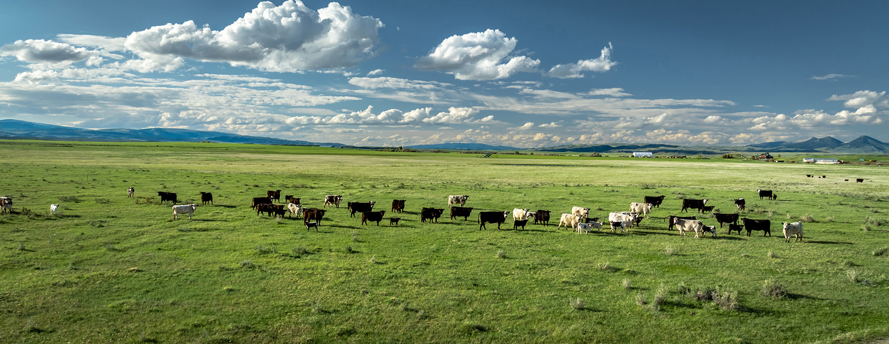 Muddy Creek Ranch property picture 33 of 60