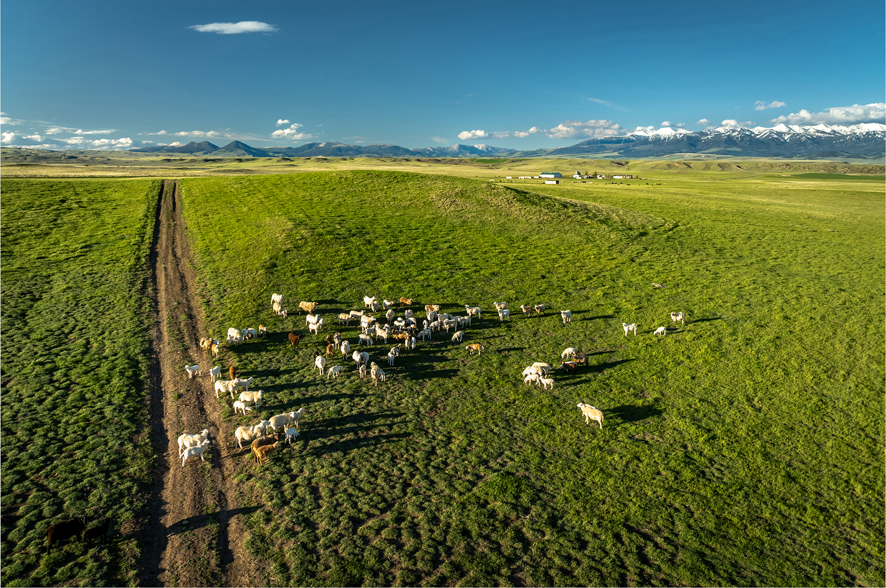 Muddy Creek Ranch property picture 20 of 60