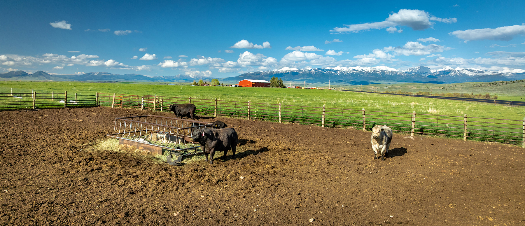 Muddy Creek Ranch property picture 16 of 60