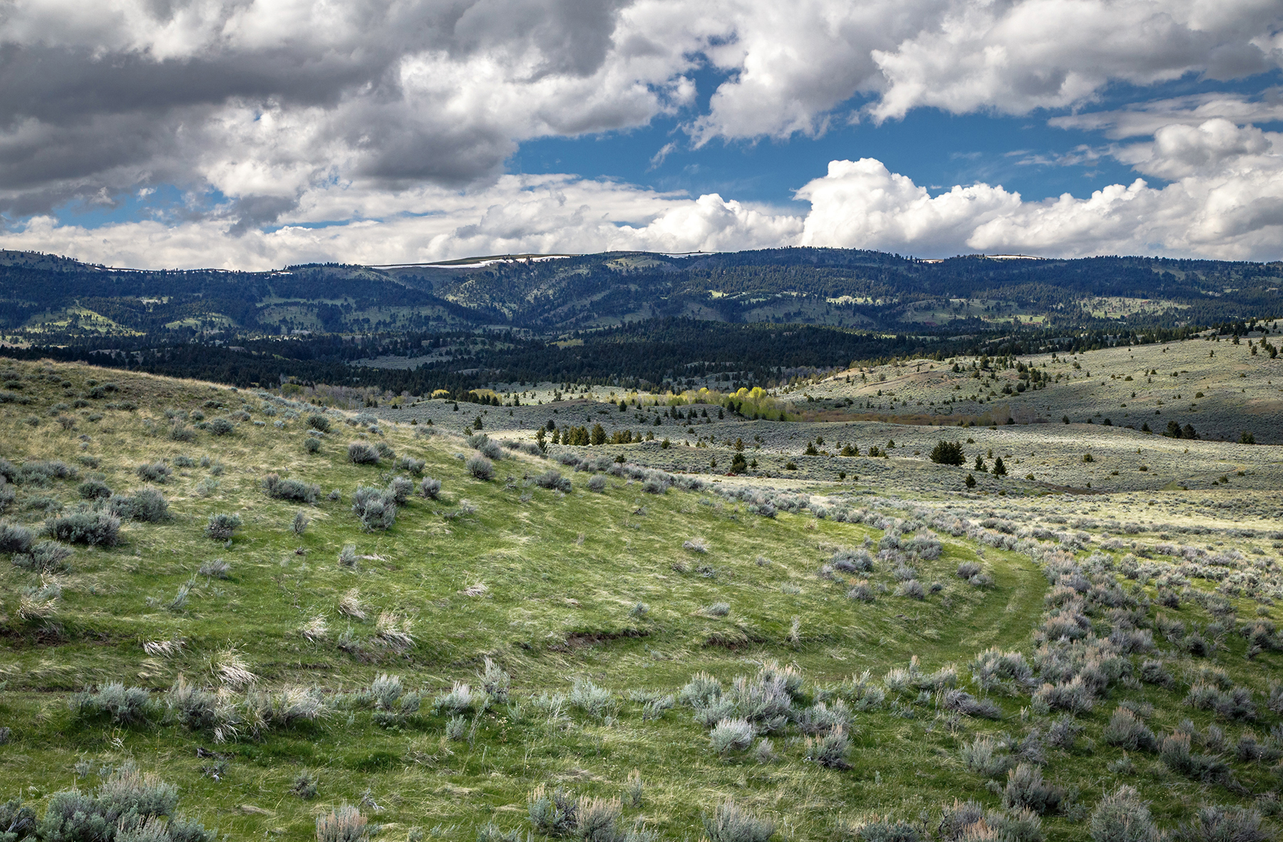 Muddy Creek Ranch property picture 34 of 60