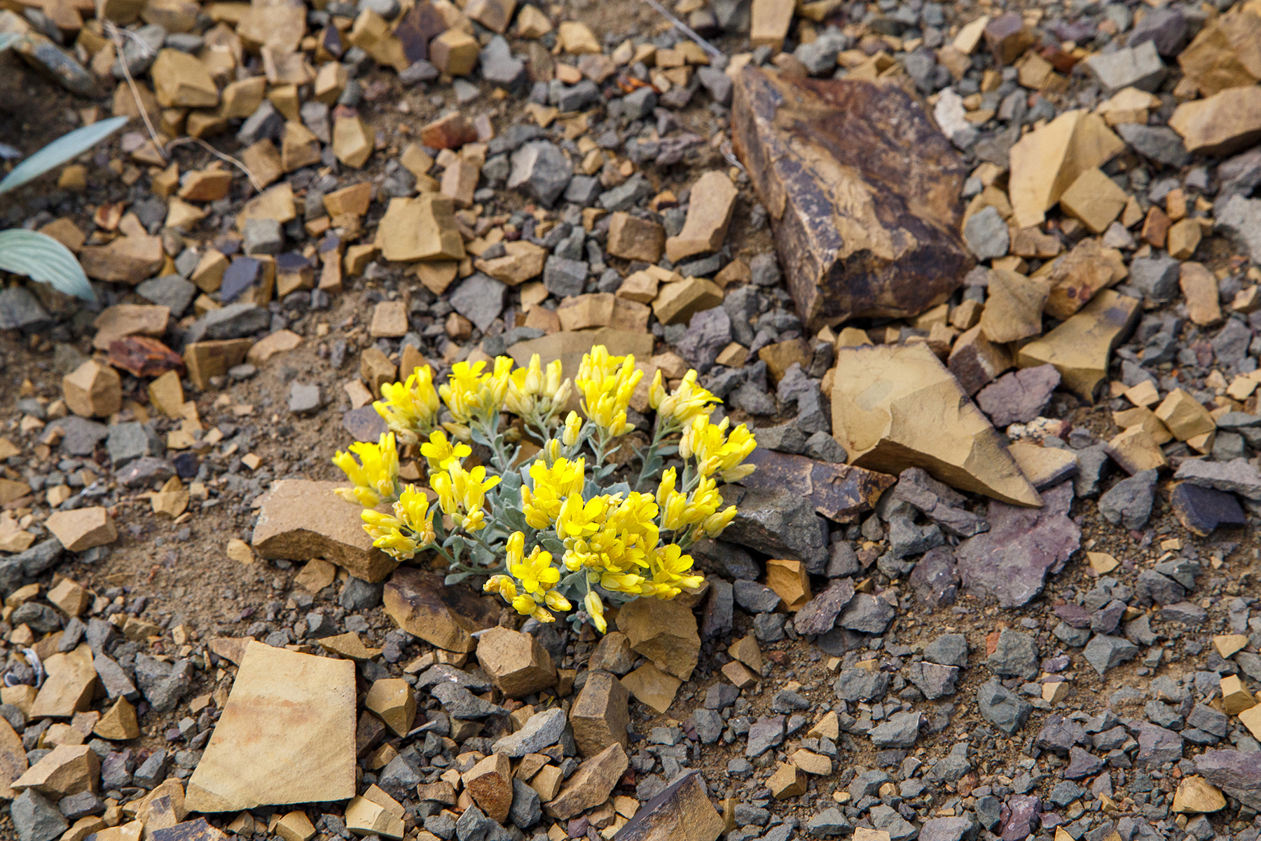 Muddy Creek Ranch property picture 53 of 60