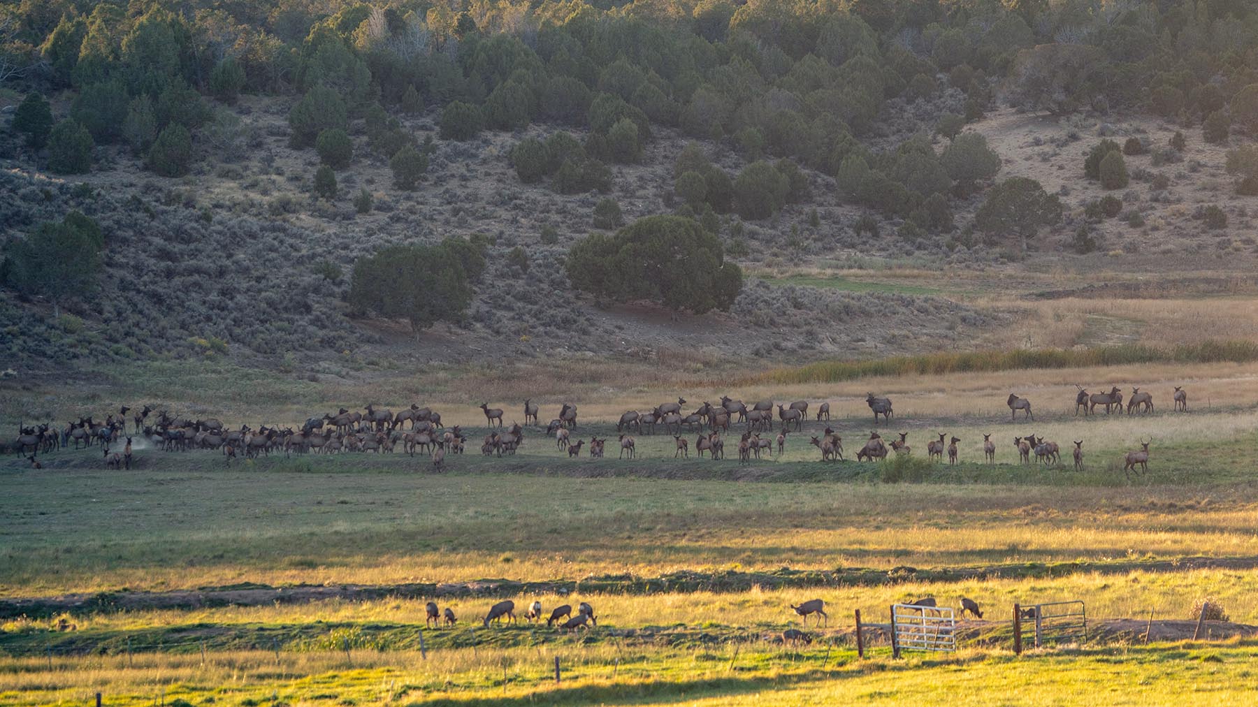 Black Canyon Ranch property picture 45 of 46