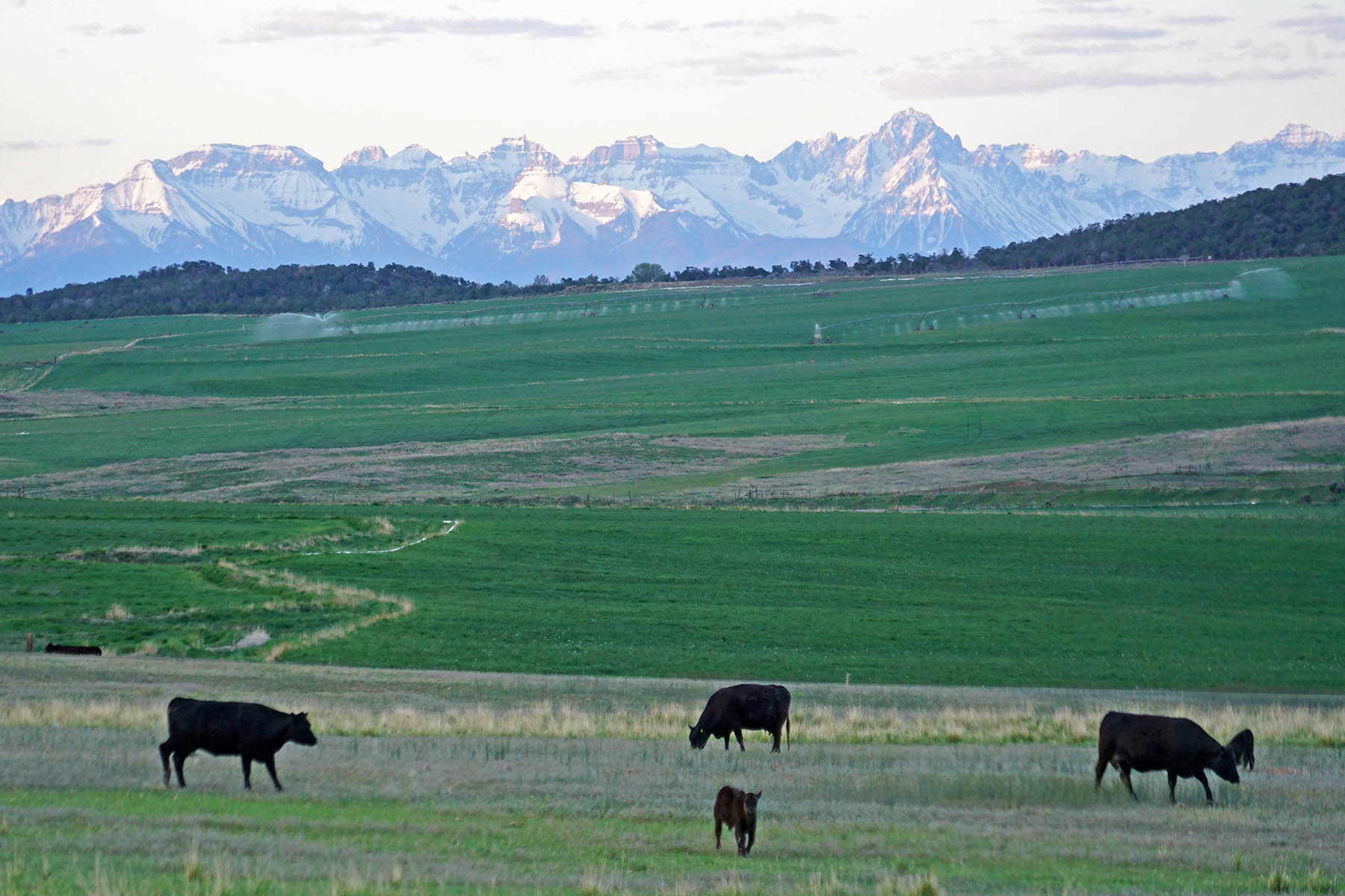 Black Canyon Ranch property picture 10 of 46