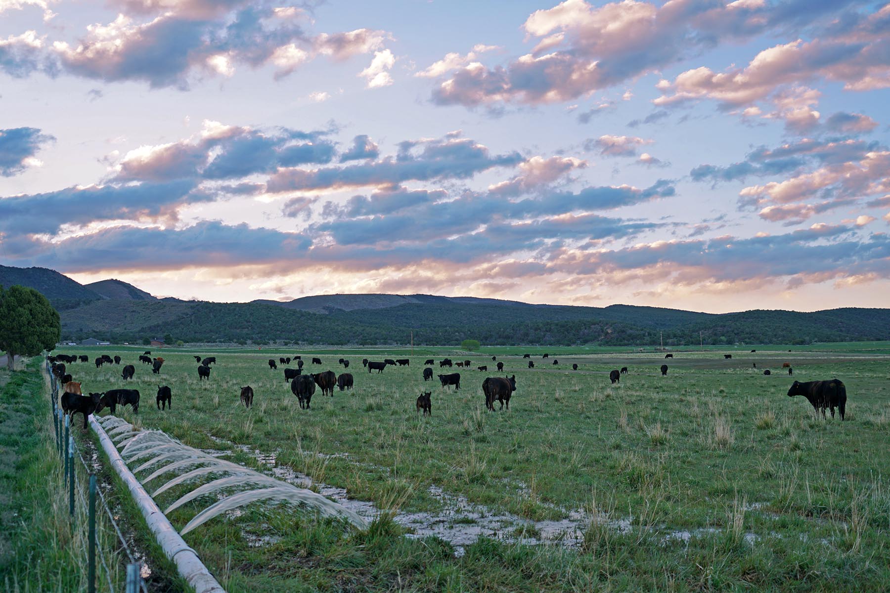 Black Canyon Ranch property picture 41 of 46