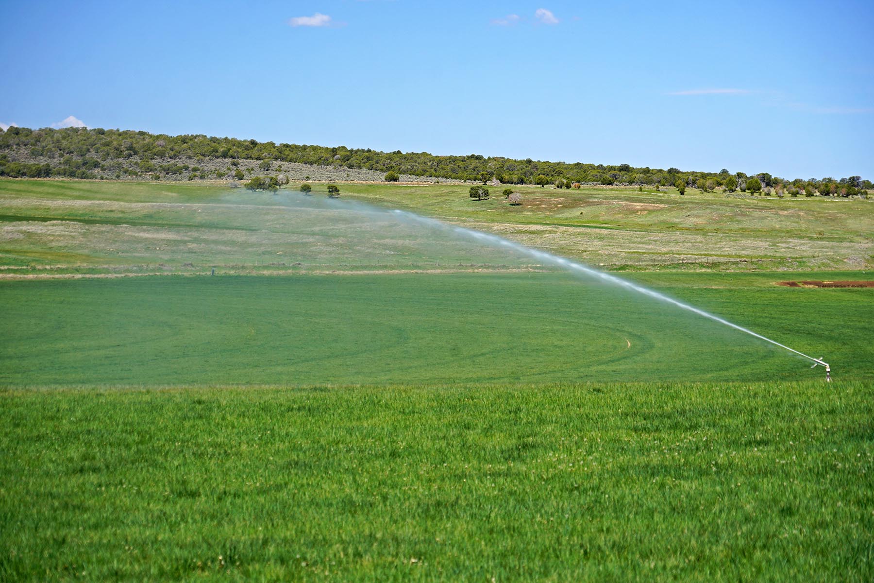 Black Canyon Ranch property picture 21 of 46