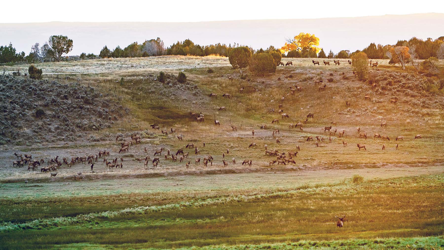 Black Canyon Ranch property picture 25 of 46