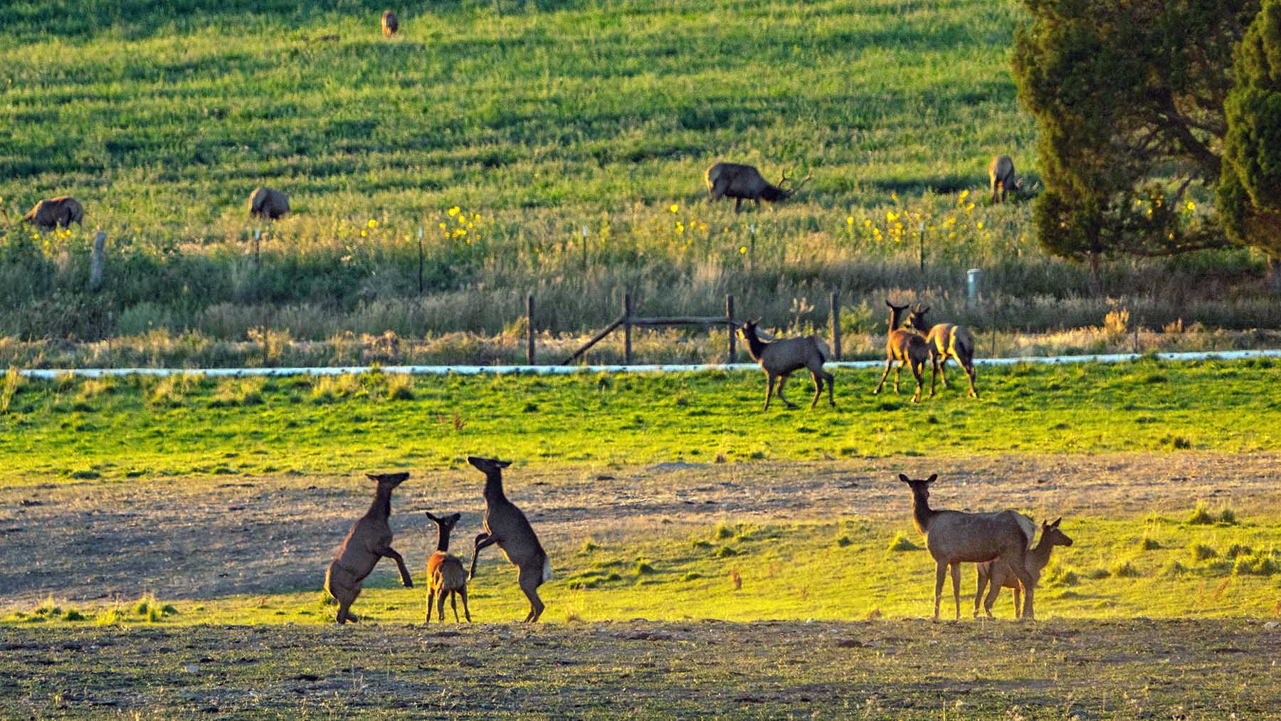 Black Canyon Ranch property picture 42 of 46