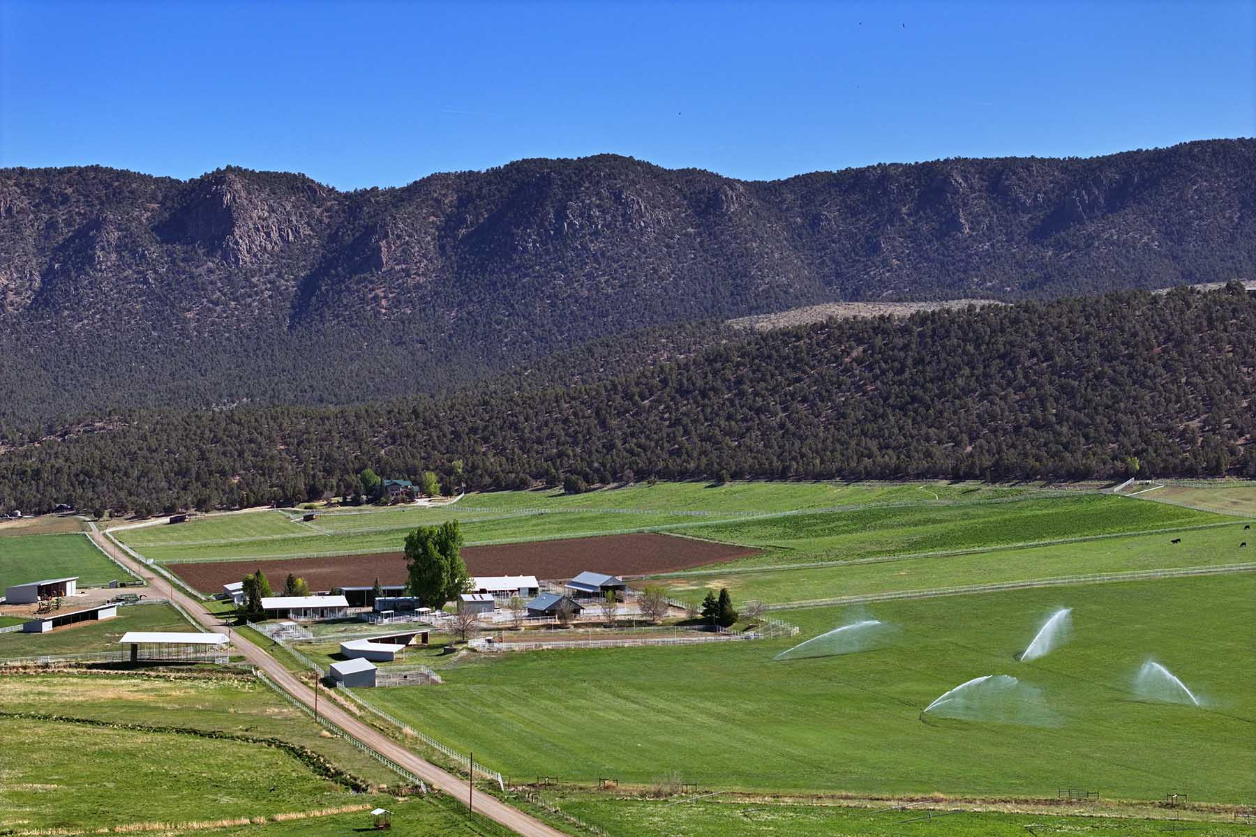 Black Canyon Ranch property picture 26 of 46