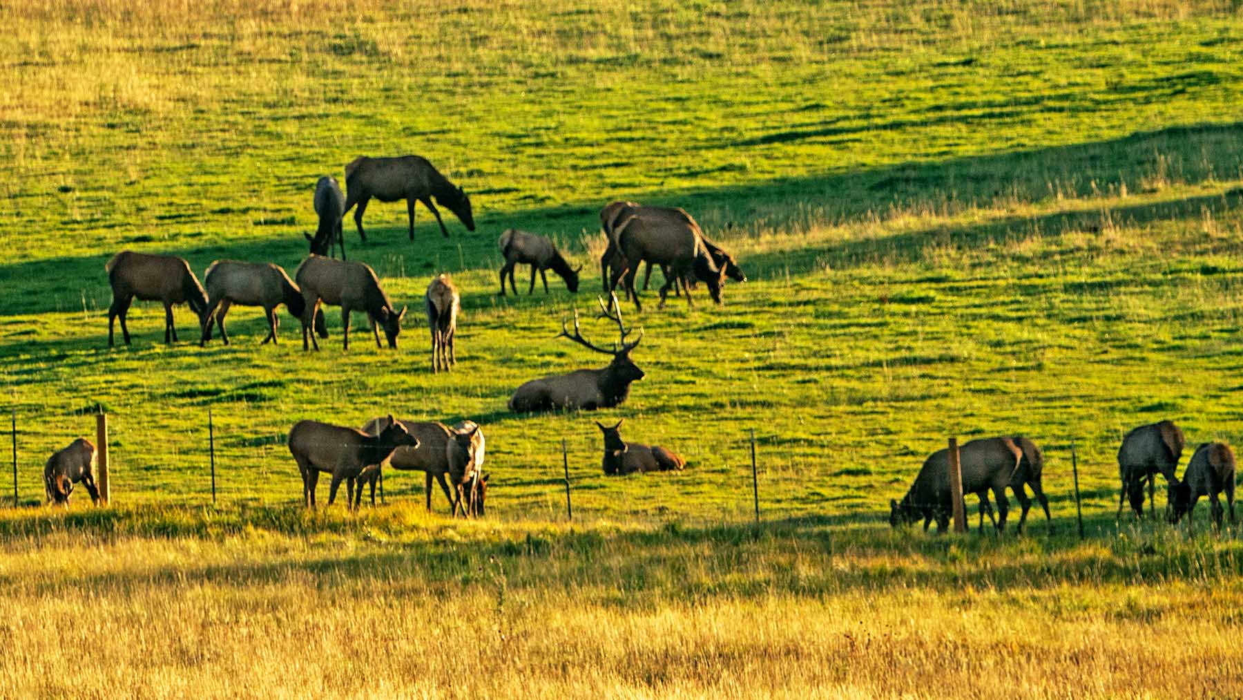 Black Canyon Ranch property picture 16 of 46