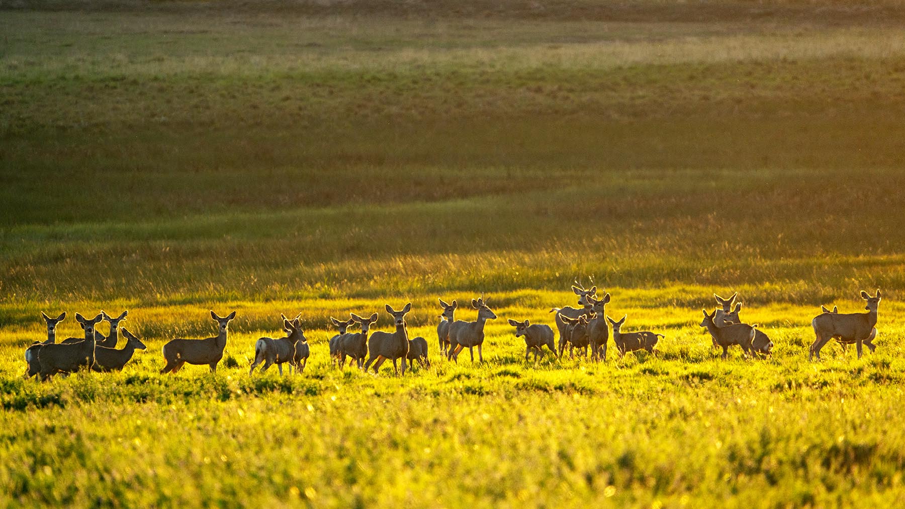 Black Canyon Ranch property picture 46 of 46