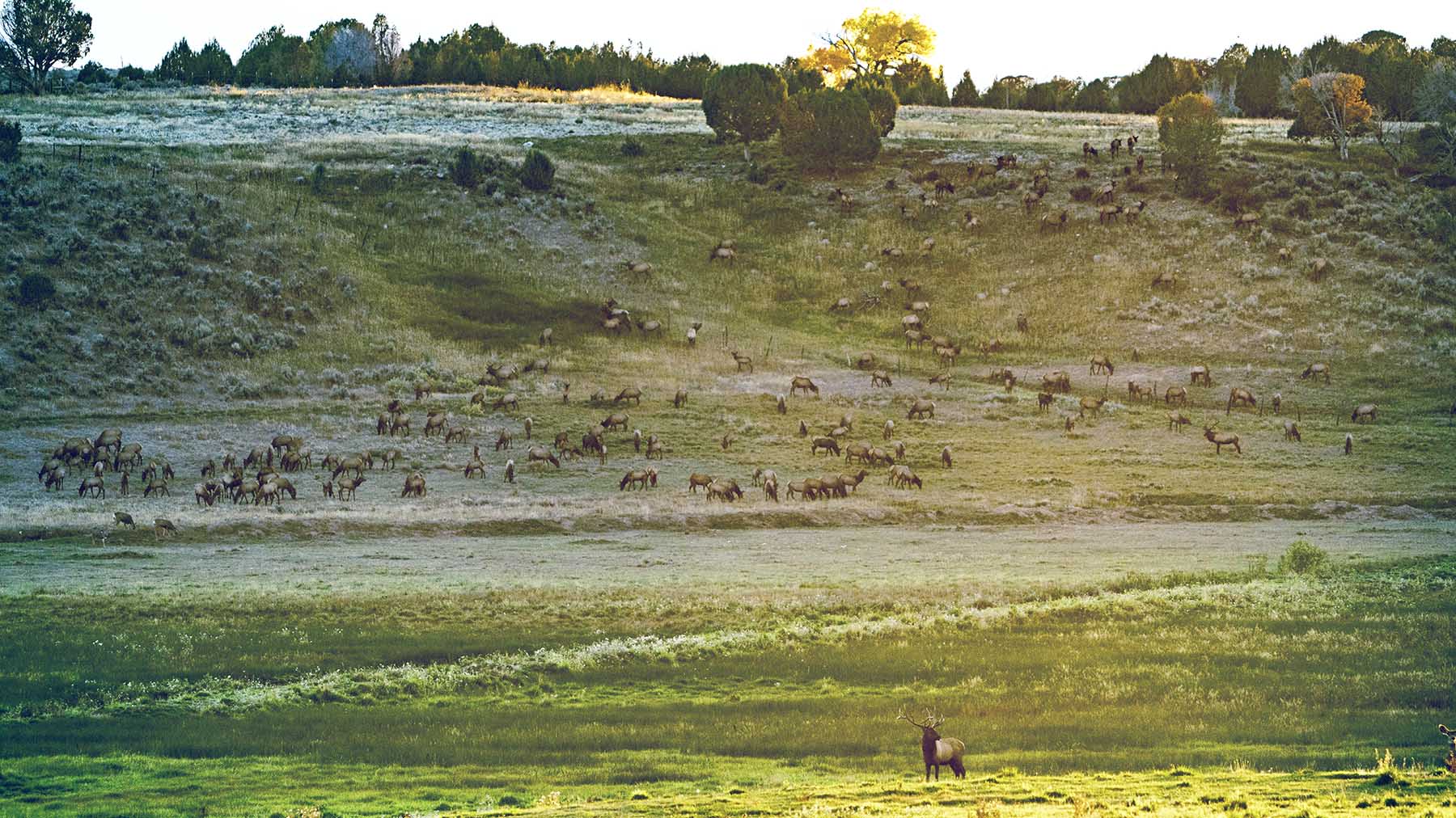 Black Canyon Ranch property picture 38 of 46
