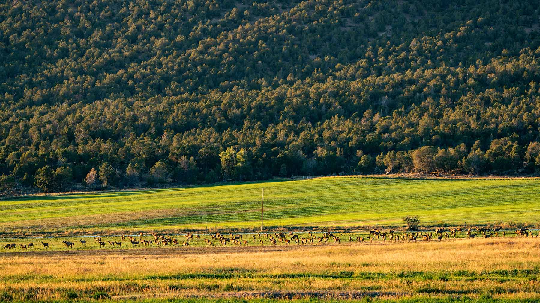 Black Canyon Ranch property picture 34 of 46