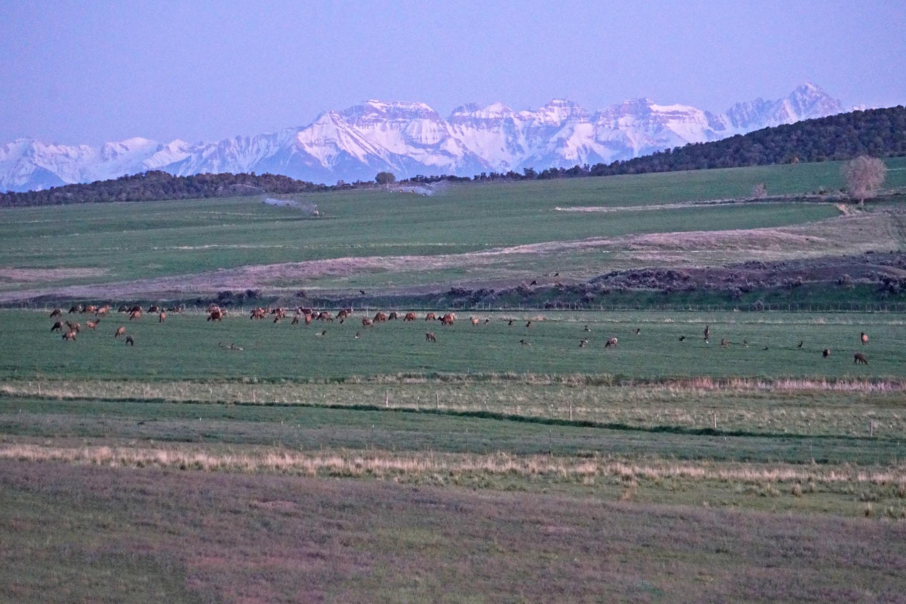 Black Canyon Ranch property picture 15 of 46