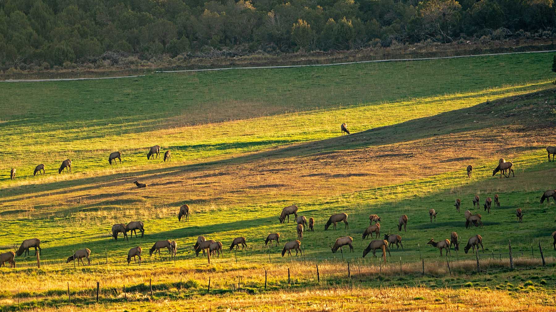 Black Canyon Ranch property picture 19 of 46