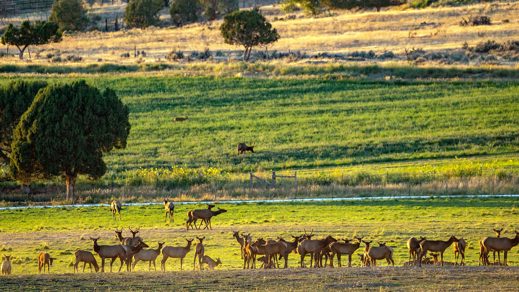 Black Canyon Ranch property picture 35 of 46