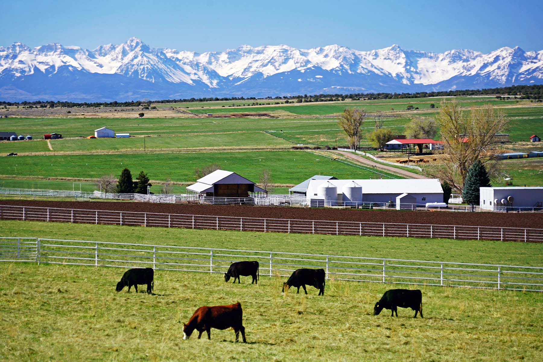 Black Canyon Ranch property picture 5 of 46