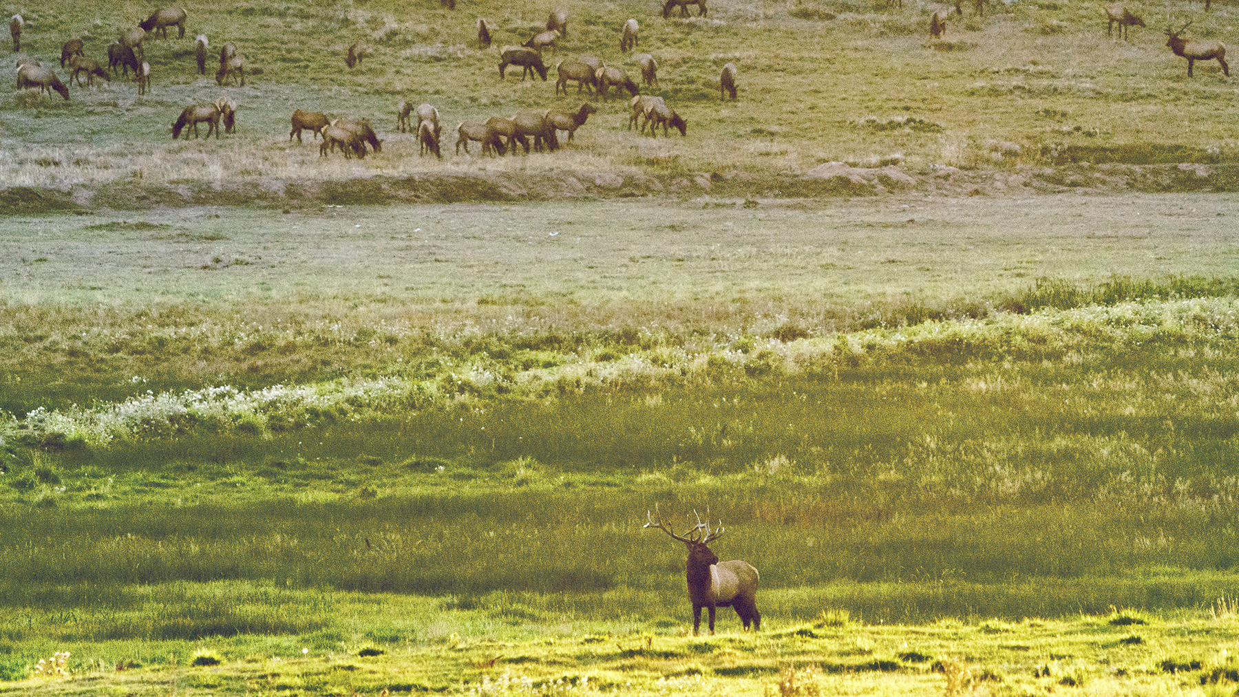 Black Canyon Ranch property picture 39 of 46