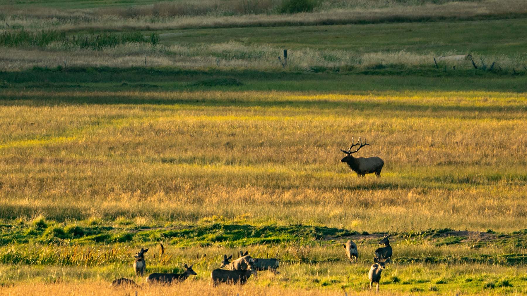 Black Canyon Ranch property picture 22 of 46