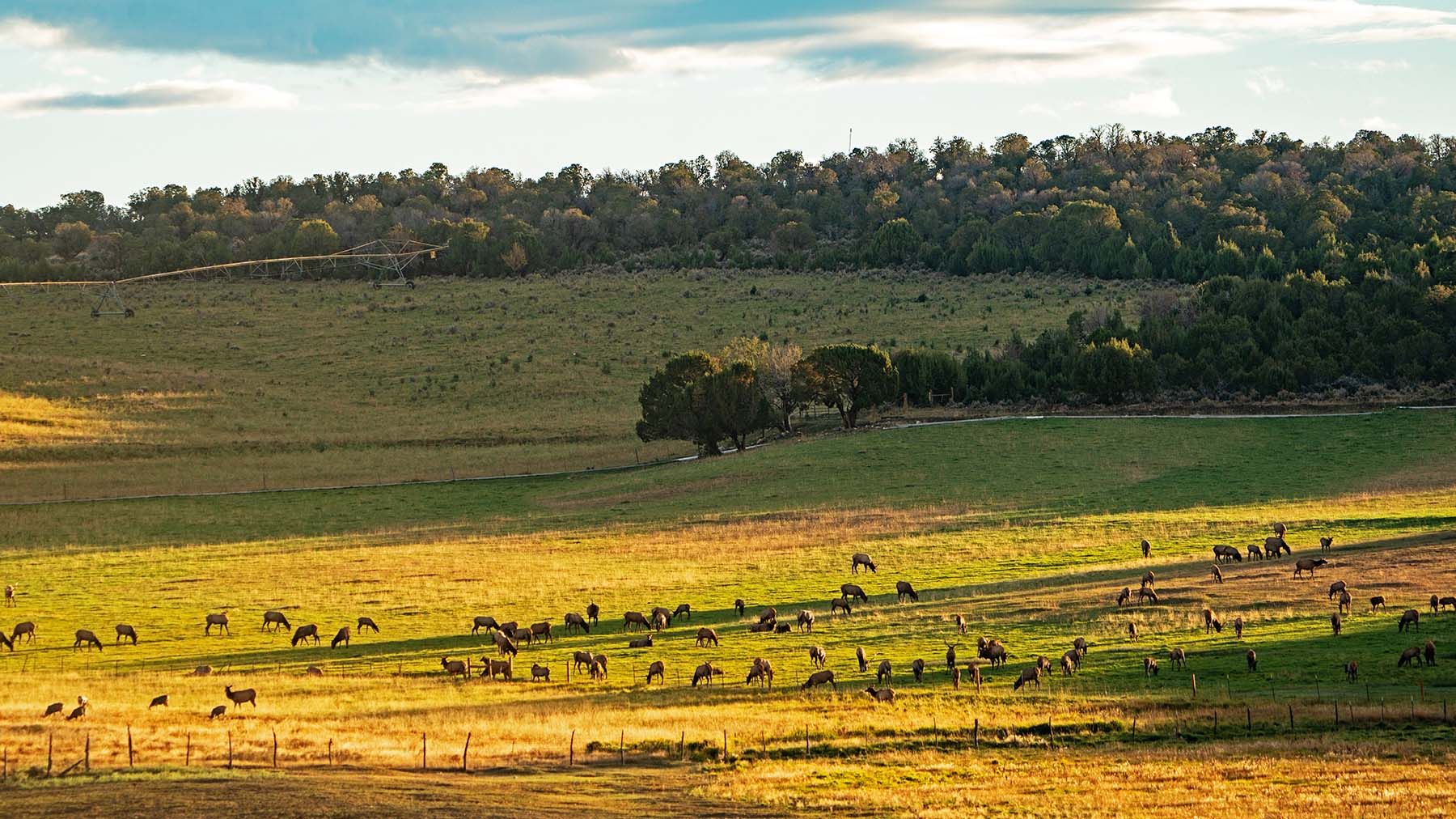 Black Canyon Ranch property picture 8 of 46
