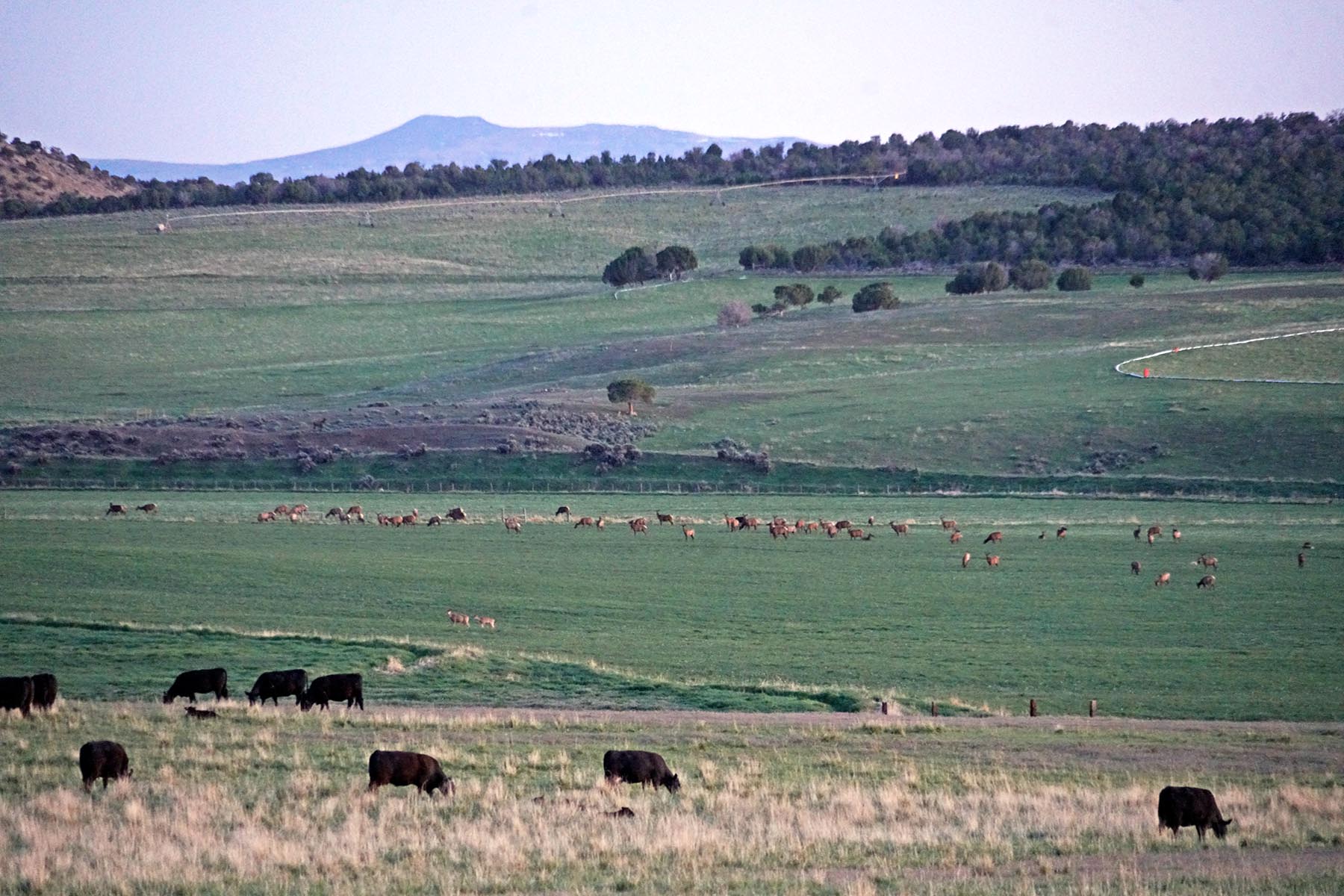 Black Canyon Ranch property picture 17 of 46