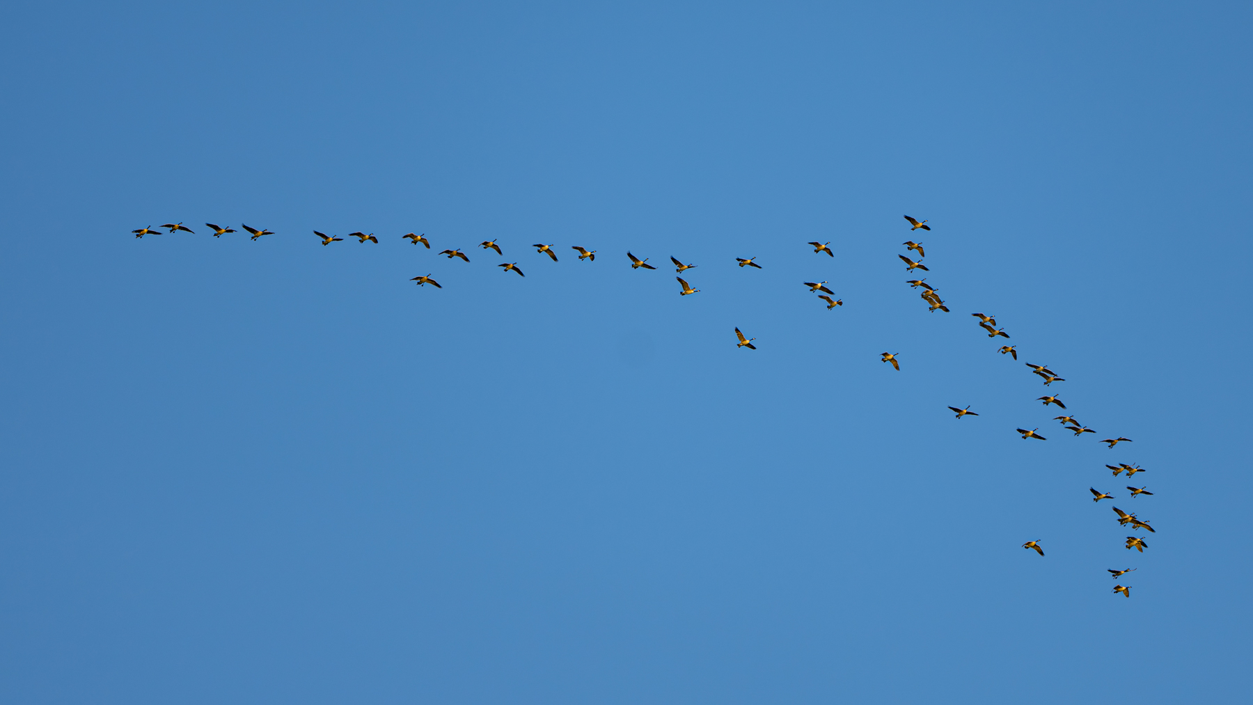 Island Ranch Pasture property picture 19 of 19