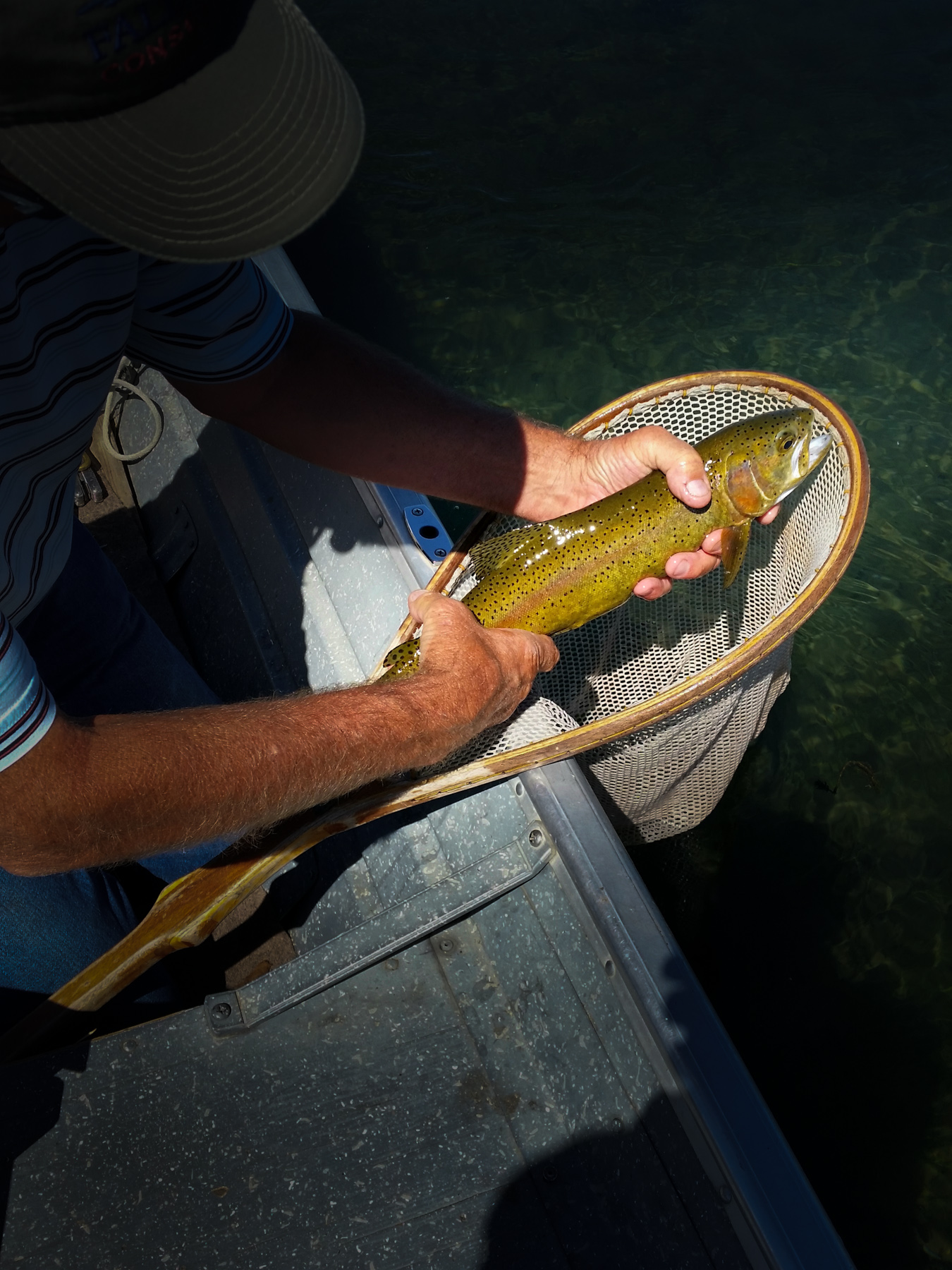 Island Ranch Pasture property picture 16 of 19