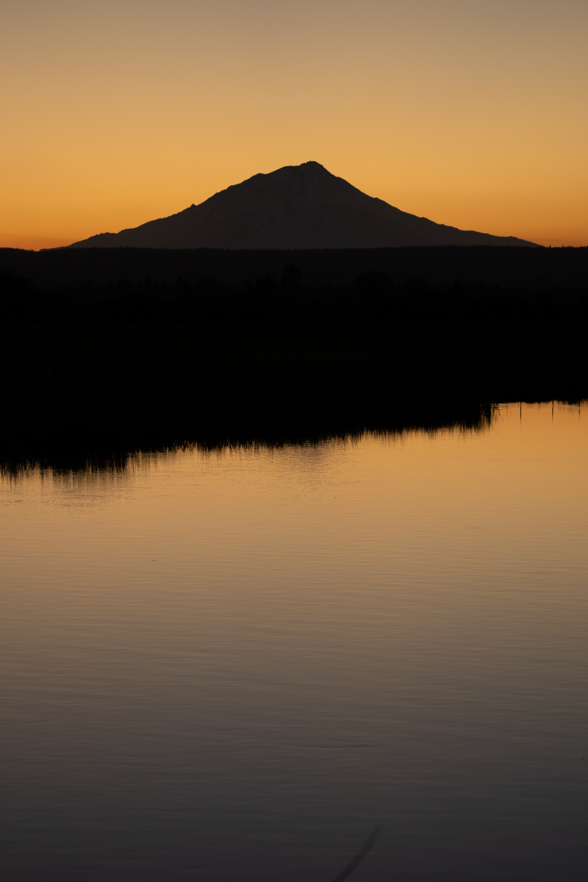 Island Ranch Pasture property picture 12 of 19