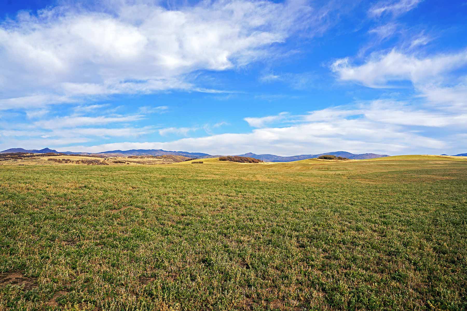 Yampa River Ranch property picture 56 of 63
