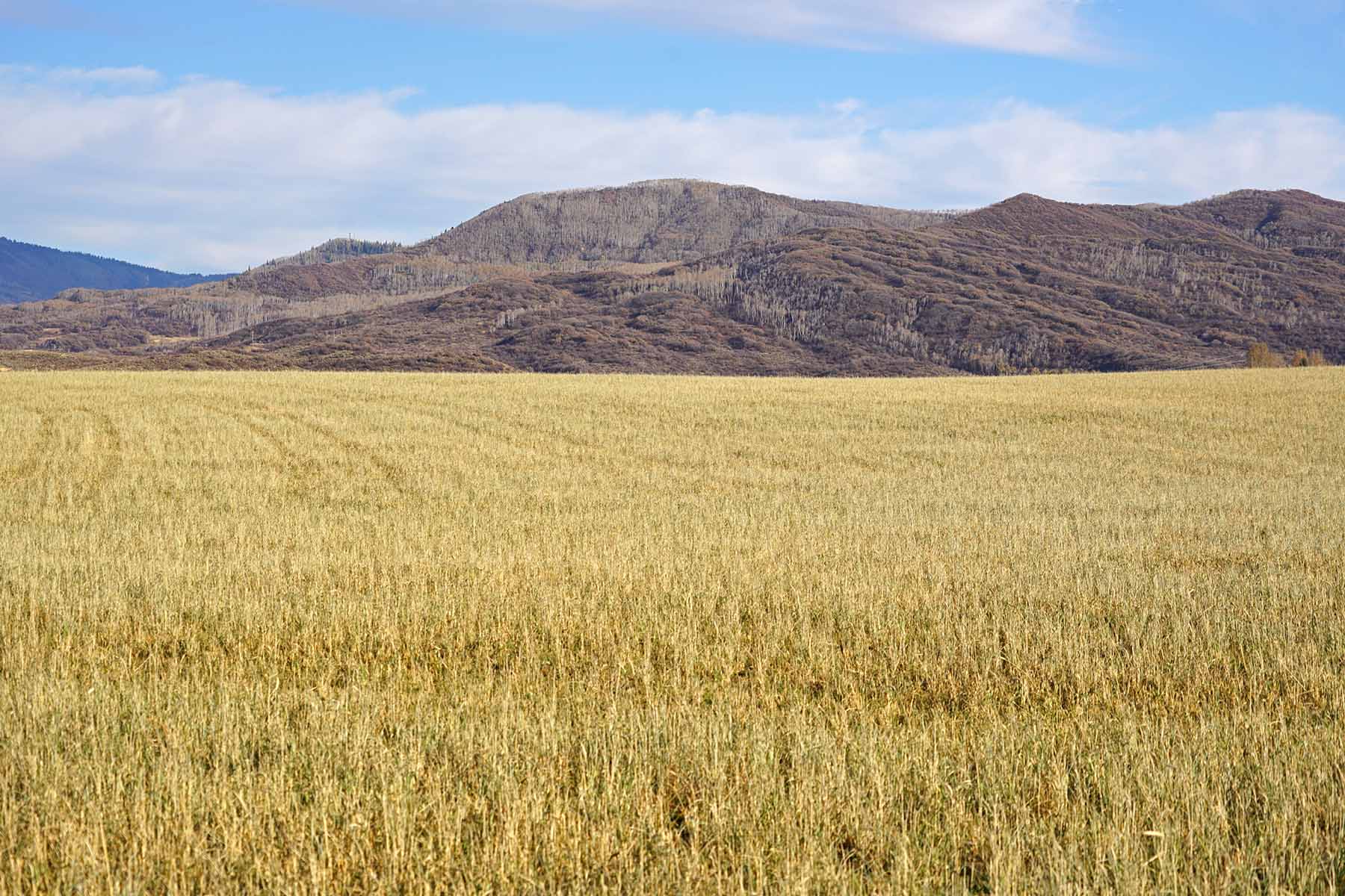 Yampa River Ranch property picture 37 of 63