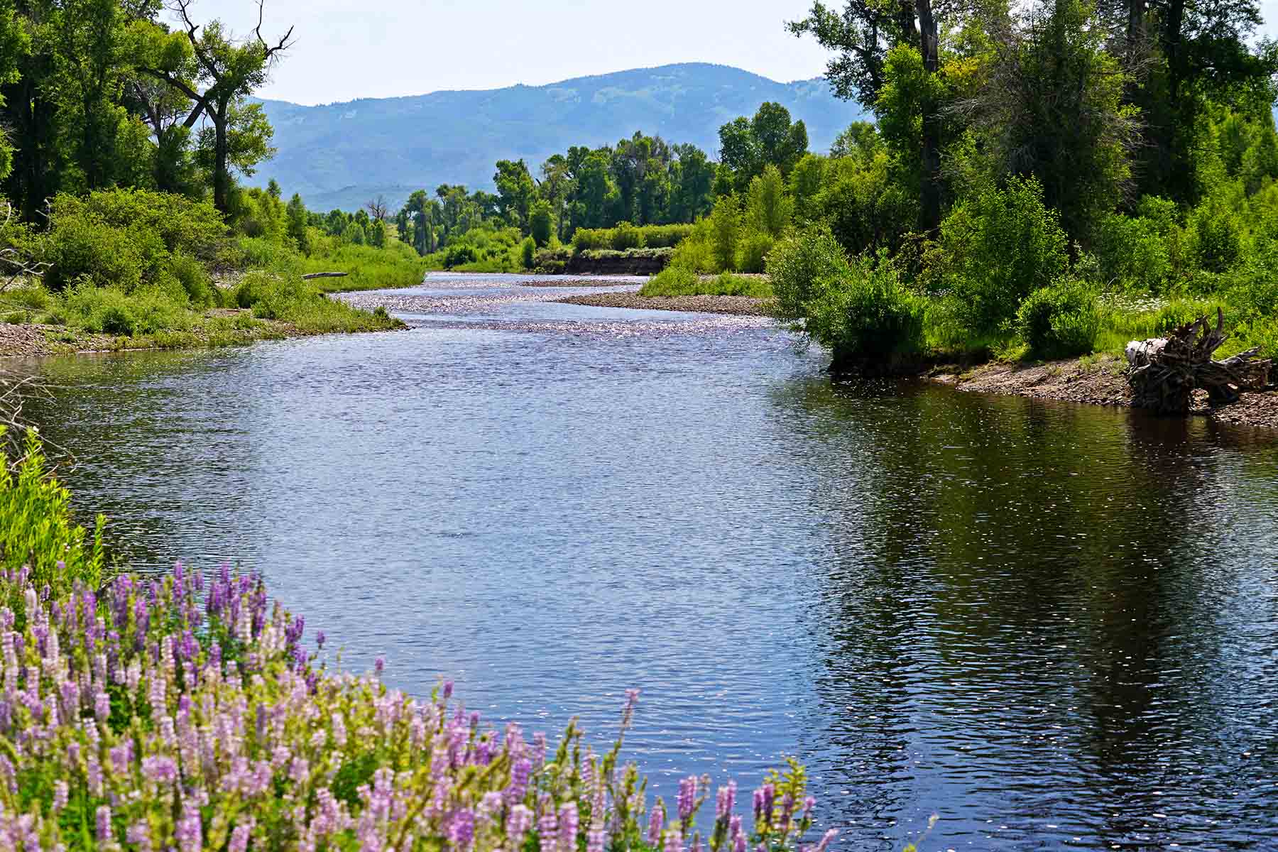 Yampa River Ranch property picture 7 of 63