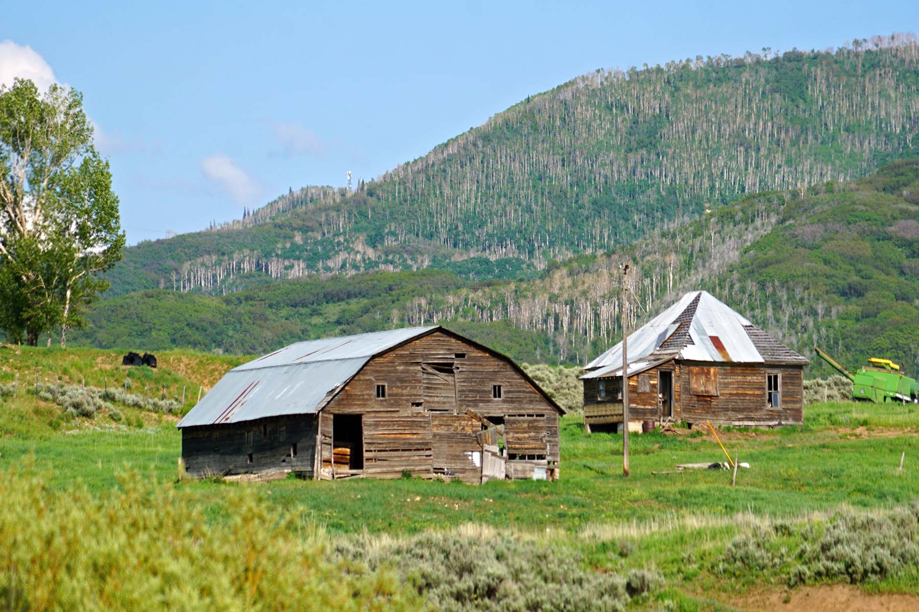 Yampa River Ranch property picture 26 of 63