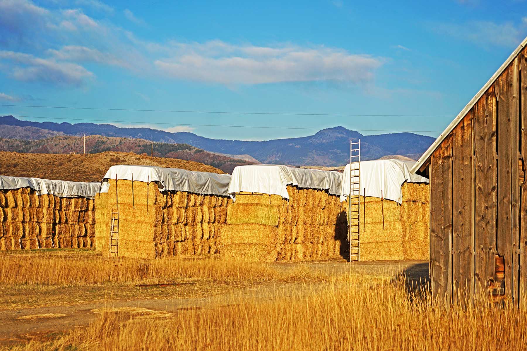 Yampa River Ranch property picture 27 of 63