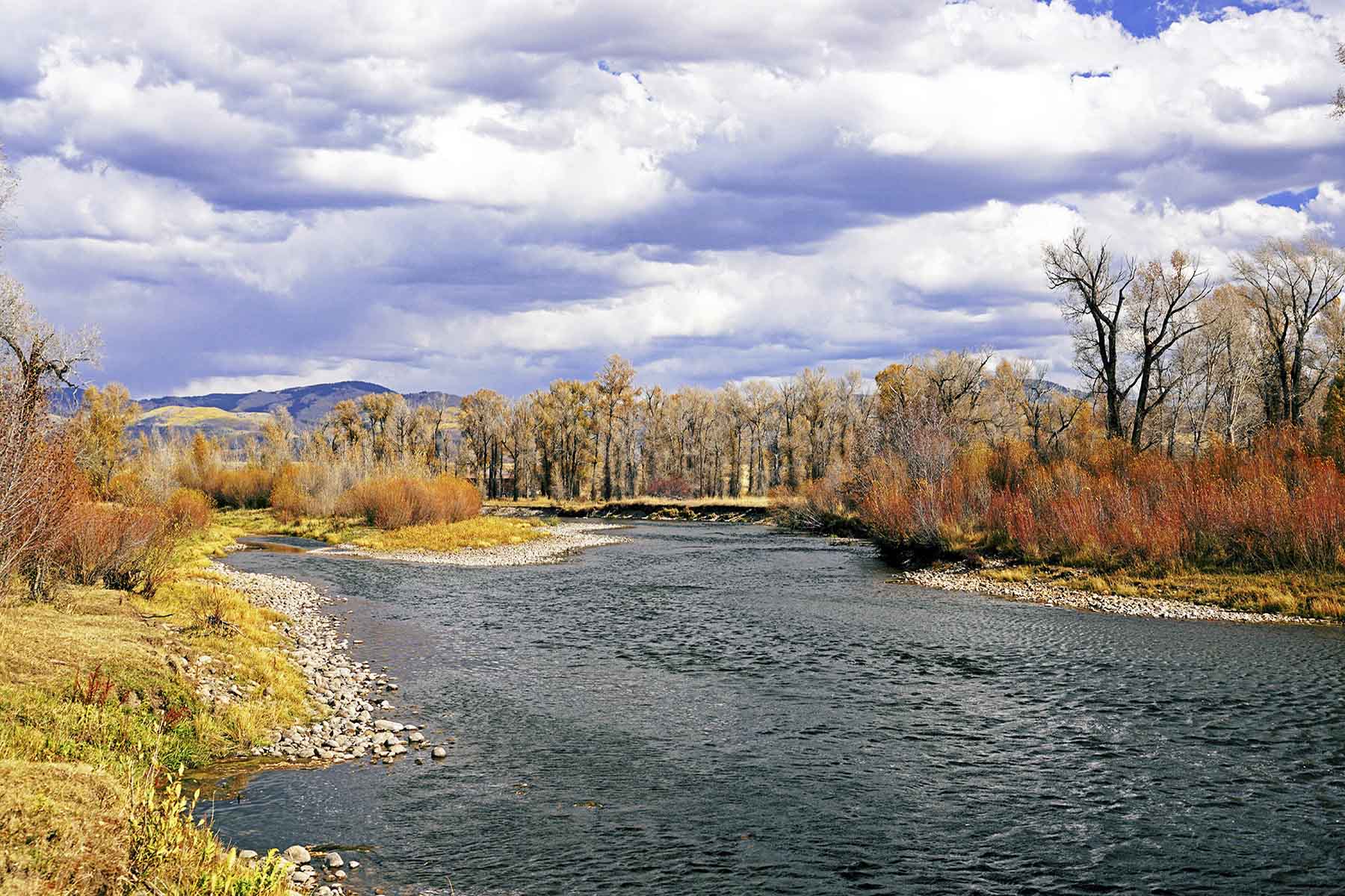 Yampa River Ranch property picture 25 of 63